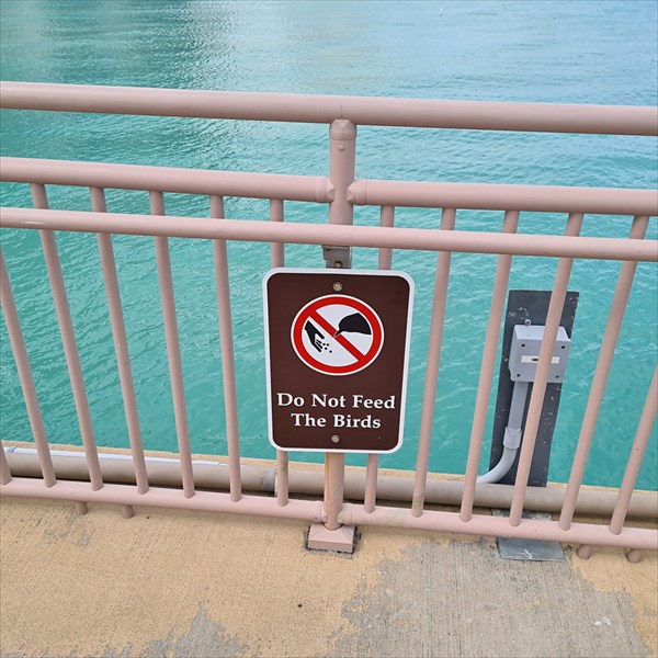 080-Pier Park
